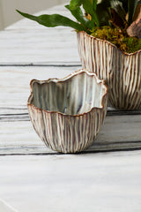 Capira Pots By Accent Decor