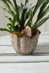 Capira Pots By Accent Decor