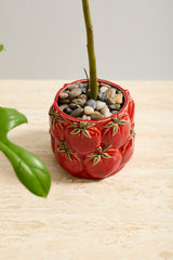 Cucina Pots By Accent Decor