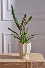 Tilly Pots By Accent Decor