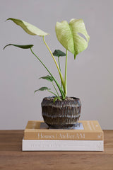 Carver Pots By Accent Decor