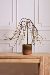 Bernie Pots By Accent Decor