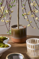 Bernie Pots By Accent Decor