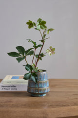 Almada Pots By Accent Decor