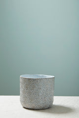 Millie Ceramic Pot By Accent Decor