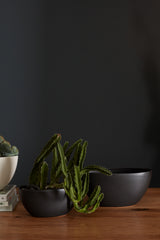 Metta Ceramic Boat-Shaped Vessels By Accent Decor