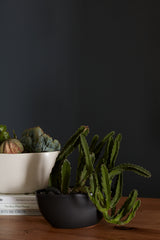 Metta Ceramic Boat-Shaped Vessels By Accent Decor