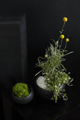Simply Ceramic Bowls By Accent Decor