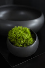 Simply Ceramic Bowls By Accent Decor