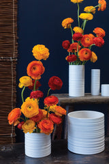 Everest Matte Ceramic Decorative Vessels By Accent Decor