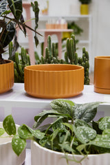 Beam Ribbed Matte Bowls By Accent Decor