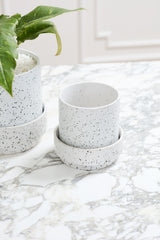 Claxton with Saucer Speckled Footed Pots By Accent Decor