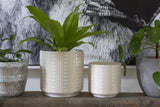 Zati Ceramic Pots By Accent Decor