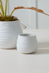 Larkin Pots By Accent Decor