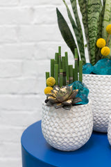 Ginny Textured Ceramic Pots By Accent Decor