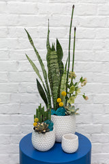 Ginny Textured Ceramic Pots By Accent Decor