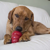 KONG Snacks Peanut Butter Dog Treats, Small