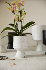 De Vil Speckled Ceramic Pots By Accent Decor