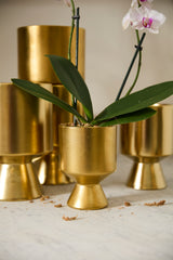 Gold De Vil Ceramic Pots By Accent Decor