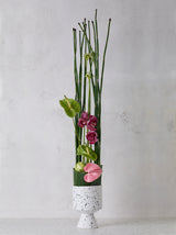 De Vil Speckled Ceramic Pots By Accent Decor
