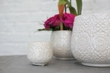 Francis Ceramic Pots By Accent Decor