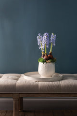 Francis Ceramic Pots By Accent Decor