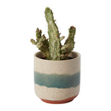 Mateo Ceramic Pots By Accent Decor
