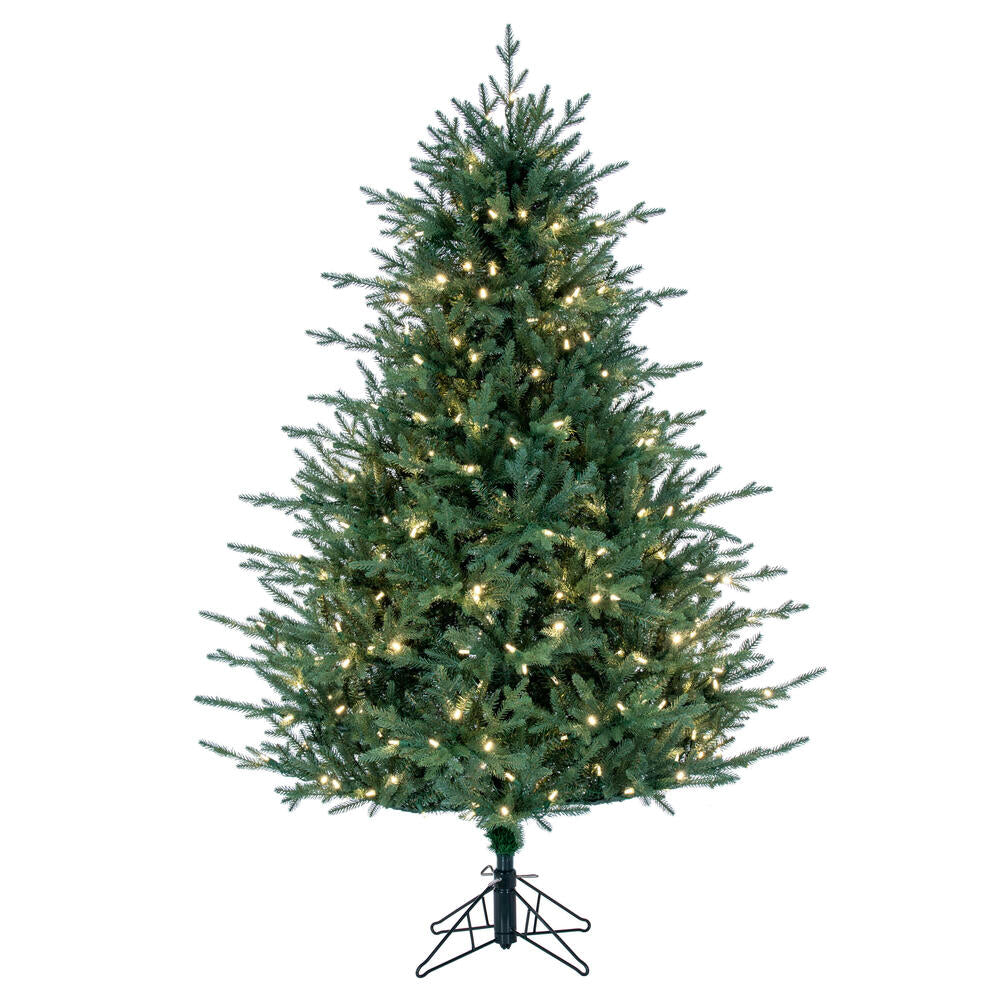 Vickerman Itasca Frasier Artificial Christmas Tree, 5.5', Warm White Mini Light