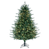 Vickerman Itasca Frasier Artificial Christmas Tree, 5.5', Warm White Mini Light