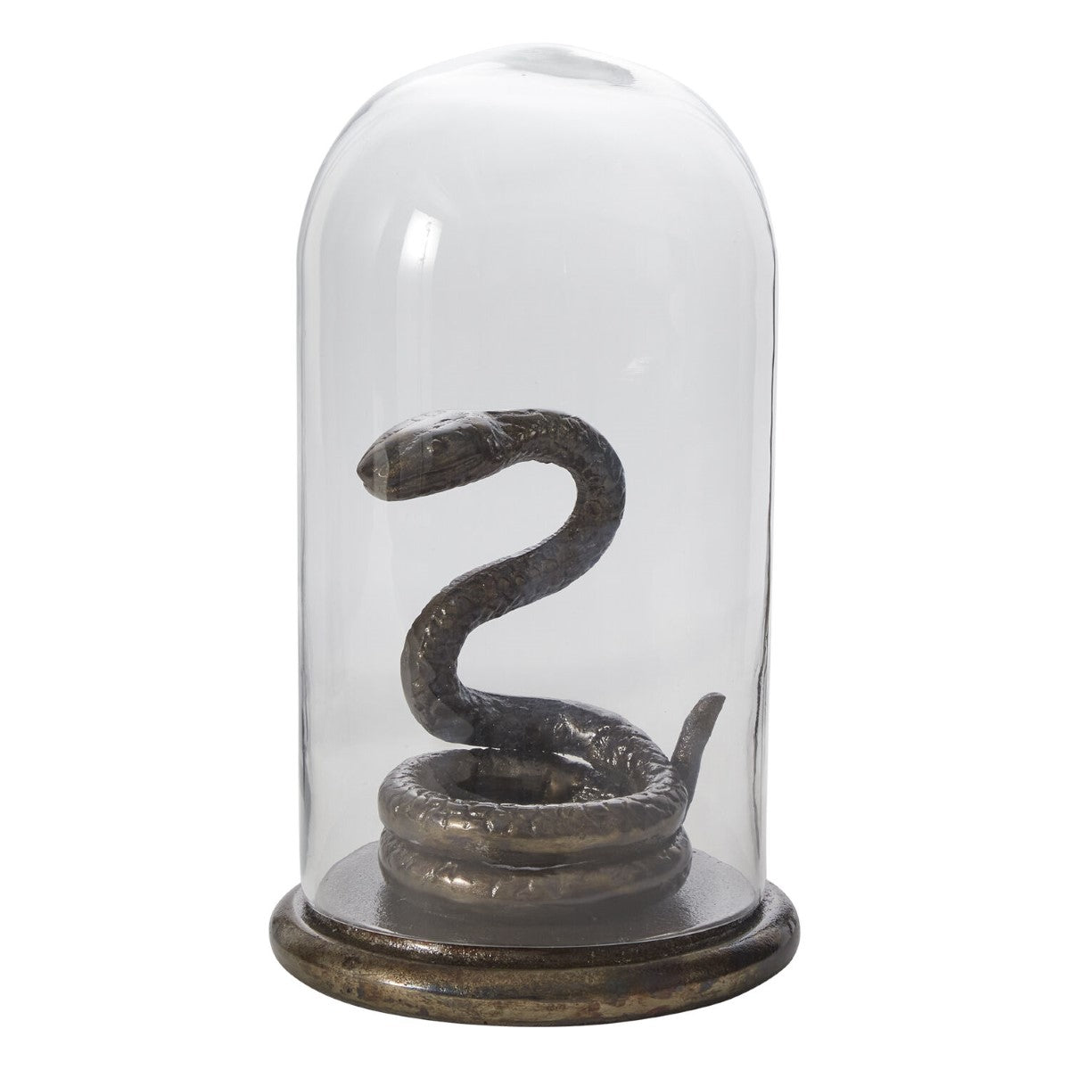 Adder Cloche By Accent Decor