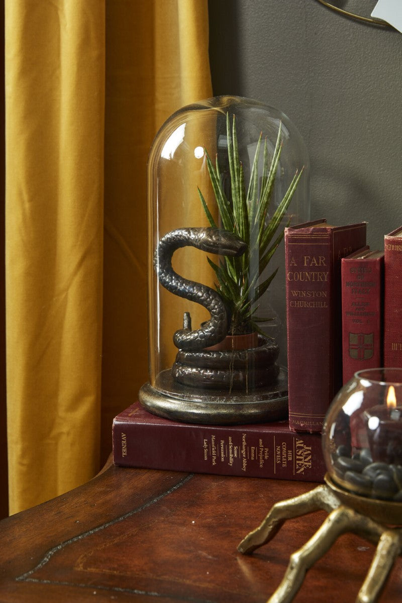 Adder Cloche By Accent Decor