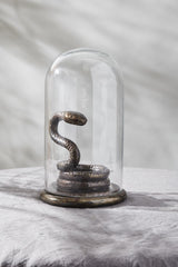 Adder Cloche By Accent Decor