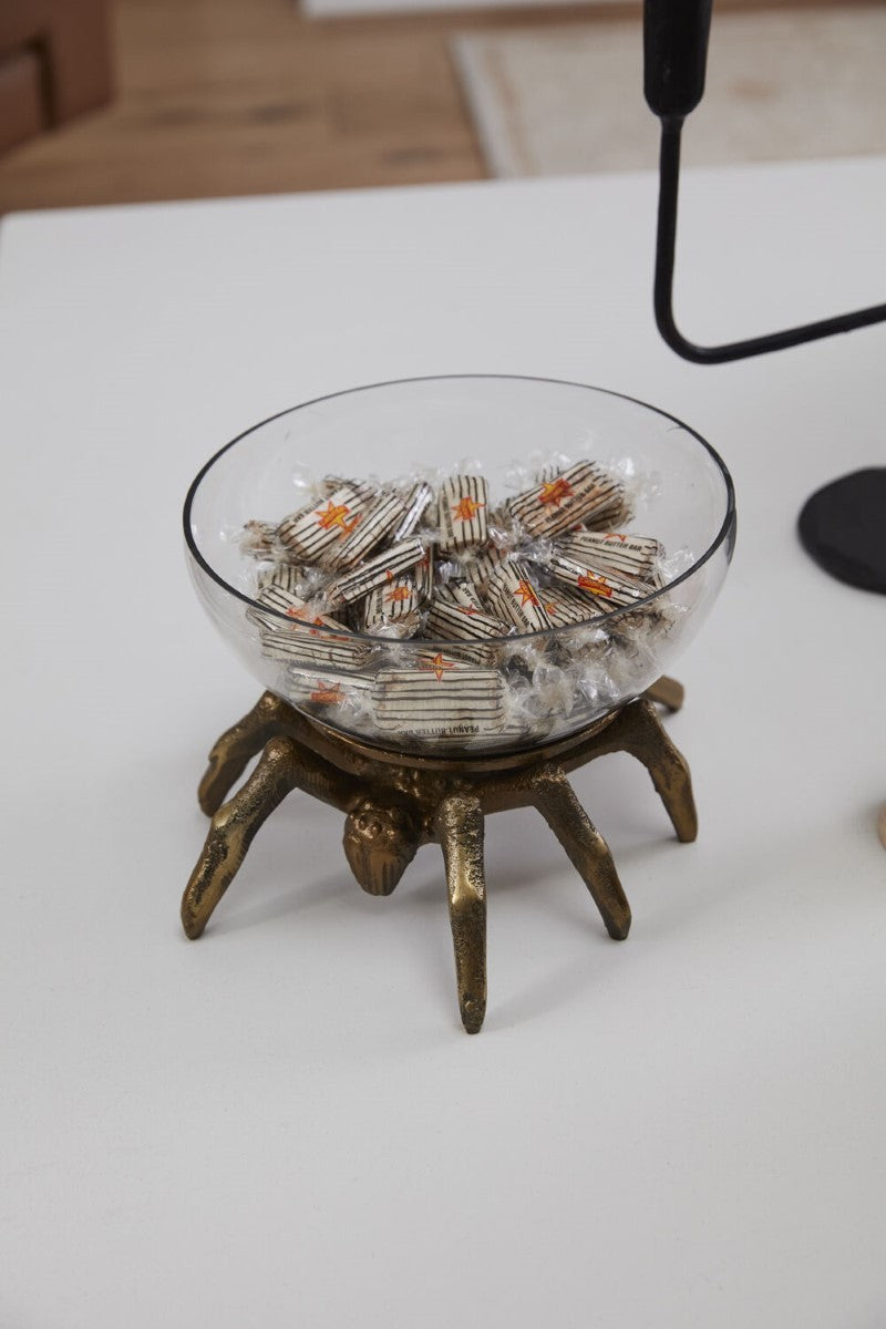 Arachnid Collection By Accent Decor
