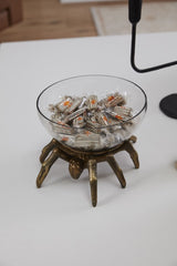 Arachnid Collection By Accent Decor