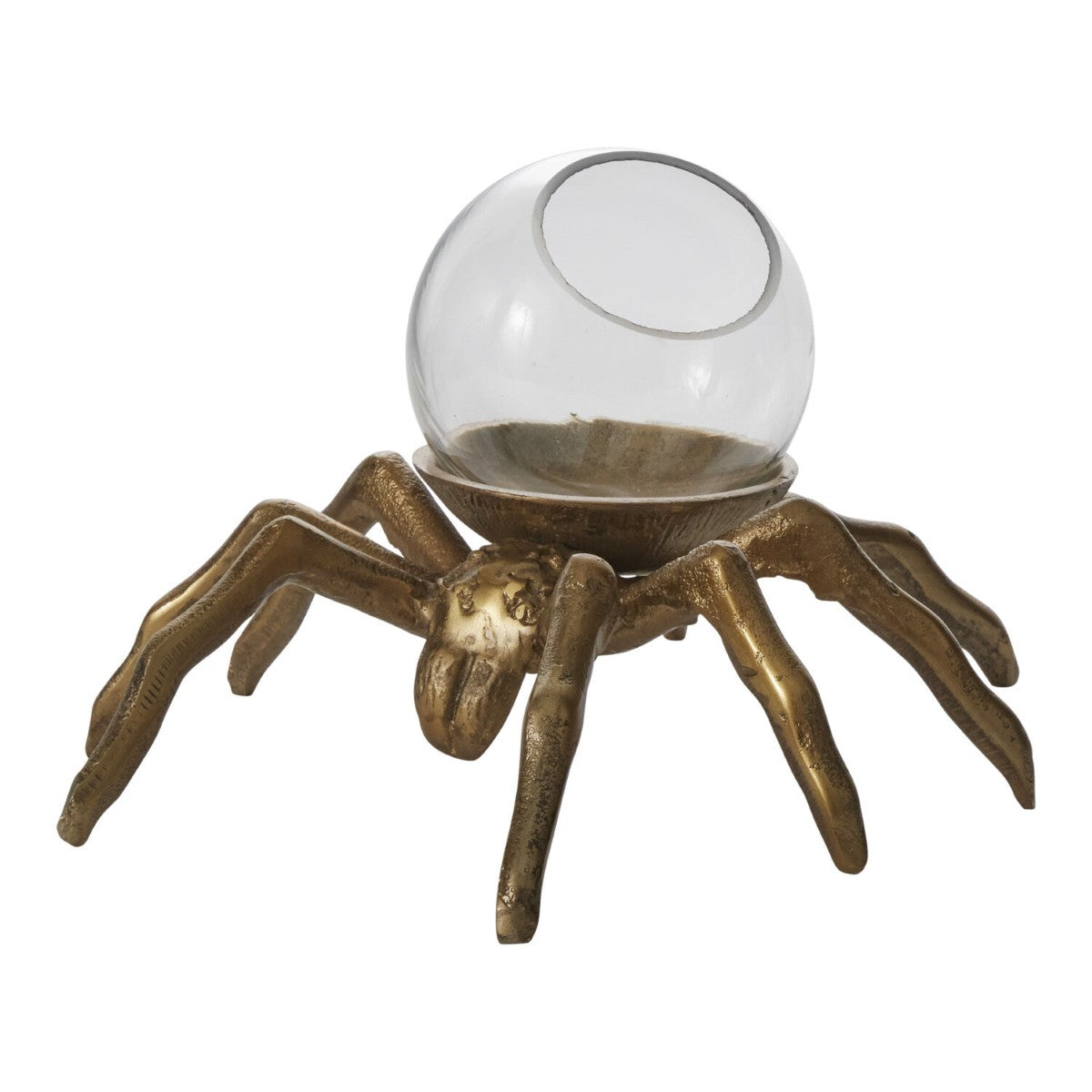 Arachnid Collection By Accent Decor