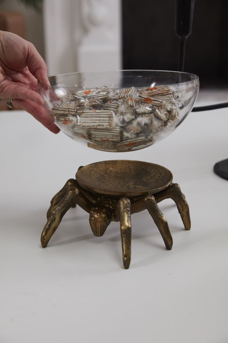 Arachnid Collection By Accent Decor