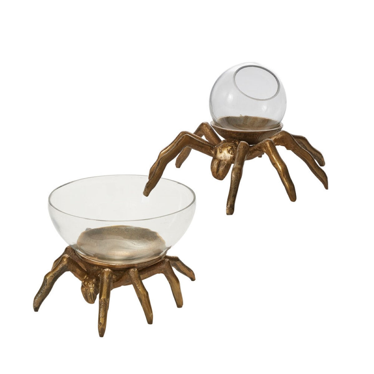 Arachnid Collection By Accent Decor