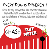 Bounce-n-Play Dog Ball