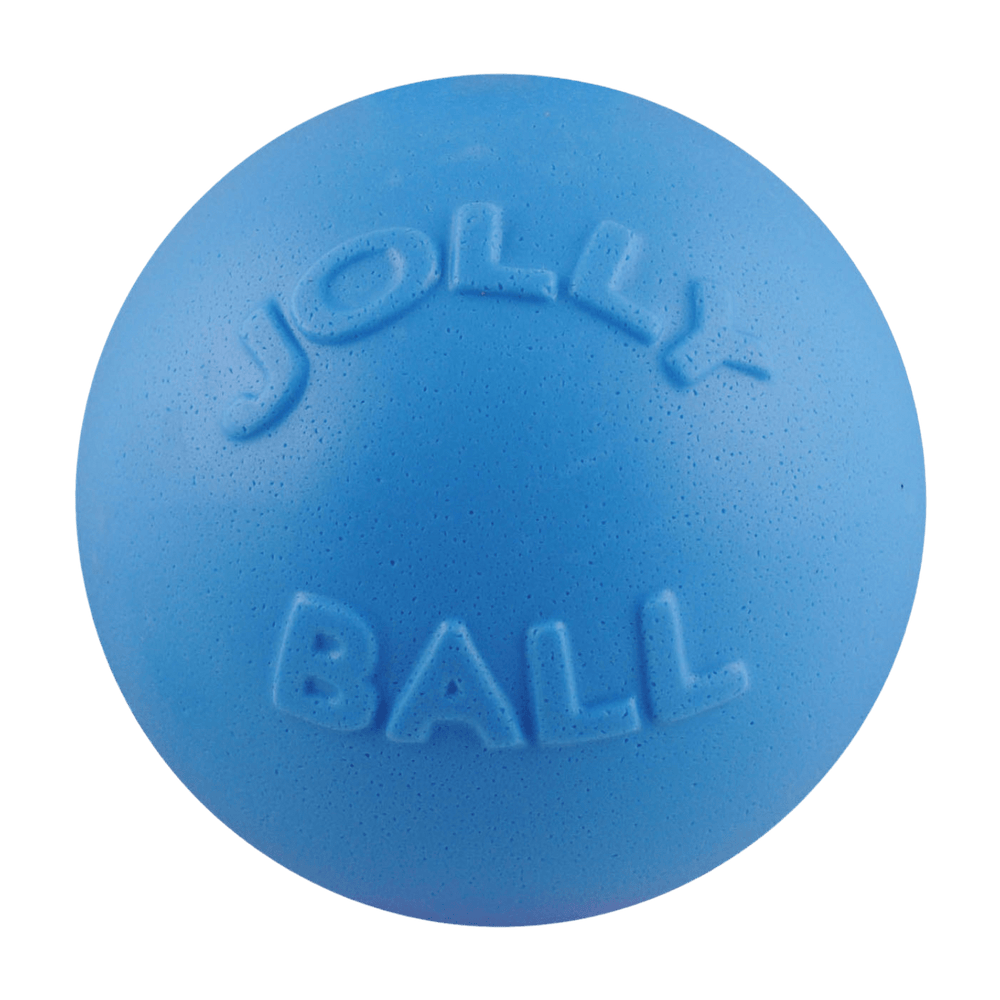 Bounce-n-Play Dog Ball - Small 4.5" / Light Blue