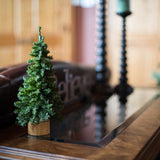 Vickerman Mini Pine Ariticial Christmas Tree with Wood Base