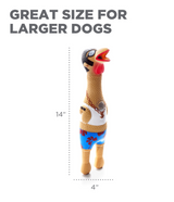 Charming Pets Barnyard Earl Squawker Dog Toy