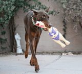 Charming Pets Barnyard Henrietta Squawker Dog Toy