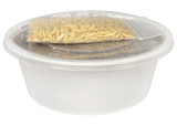 Multipet Catnip Garden Cat Grass Kit