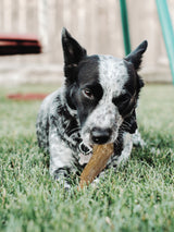 Love The Earth Coffee Wood Dog Chew