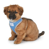 Cool Pup Reflective Cooling Harnesses Designed to Keep Dogs Cool