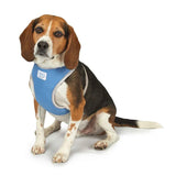 Cool Pup Reflective Cooling Harnesses Designed to Keep Dogs Cool