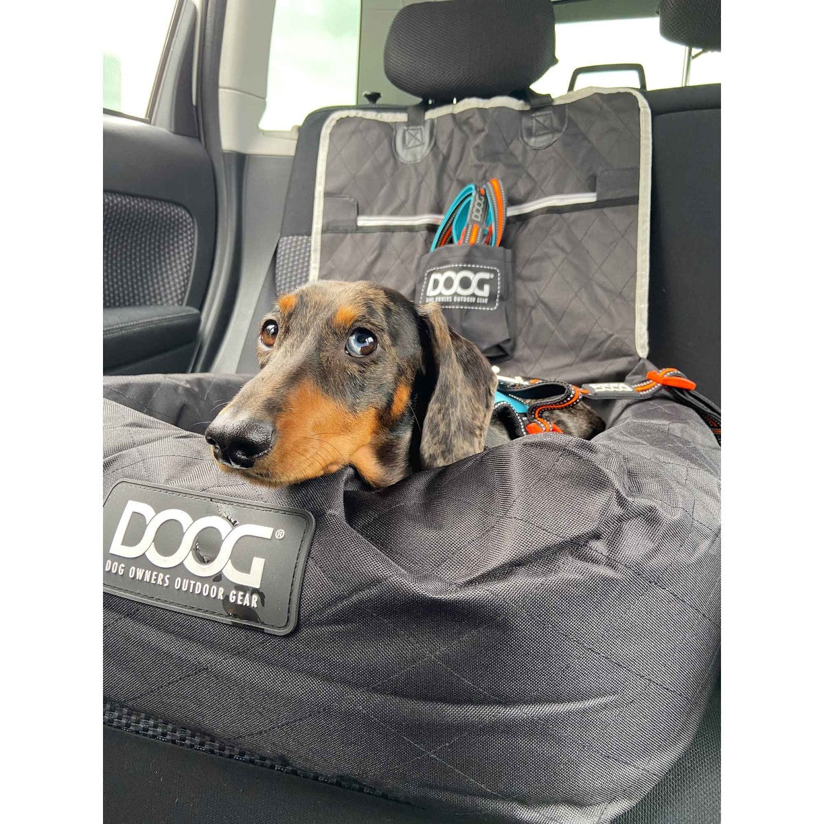 DOOG Pet Car Seat - Helps Anxiety and Motion Sickness