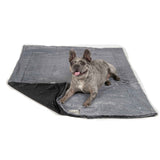 DGS Pet Products Itchy Witchy Essential Oils Blanket - Large / Black