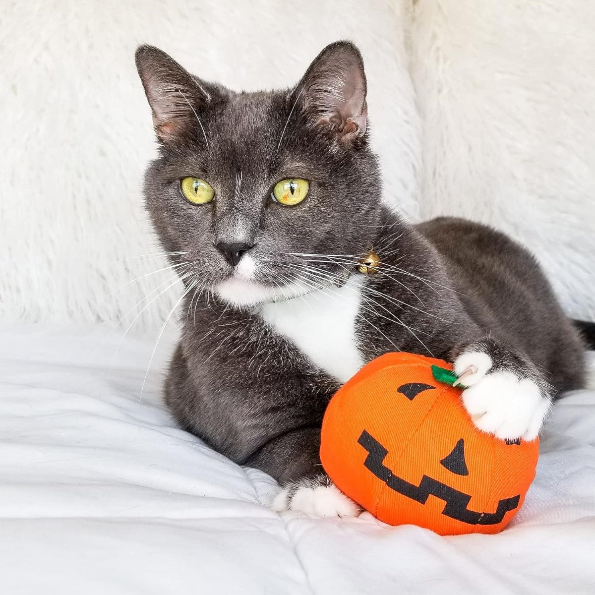 Ducky World Yeowww! Loween Pumpkin Cat Toy