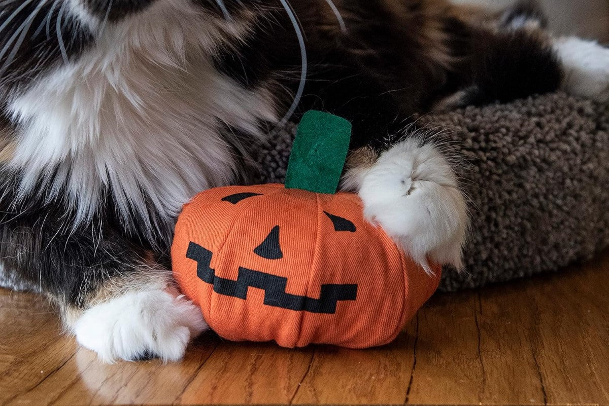 Ducky World Yeowww! Loween Pumpkin Cat Toy